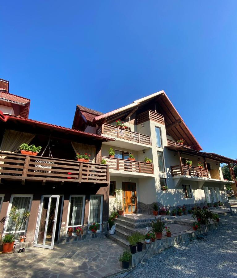 Vila Sorina Borşa 외부 사진