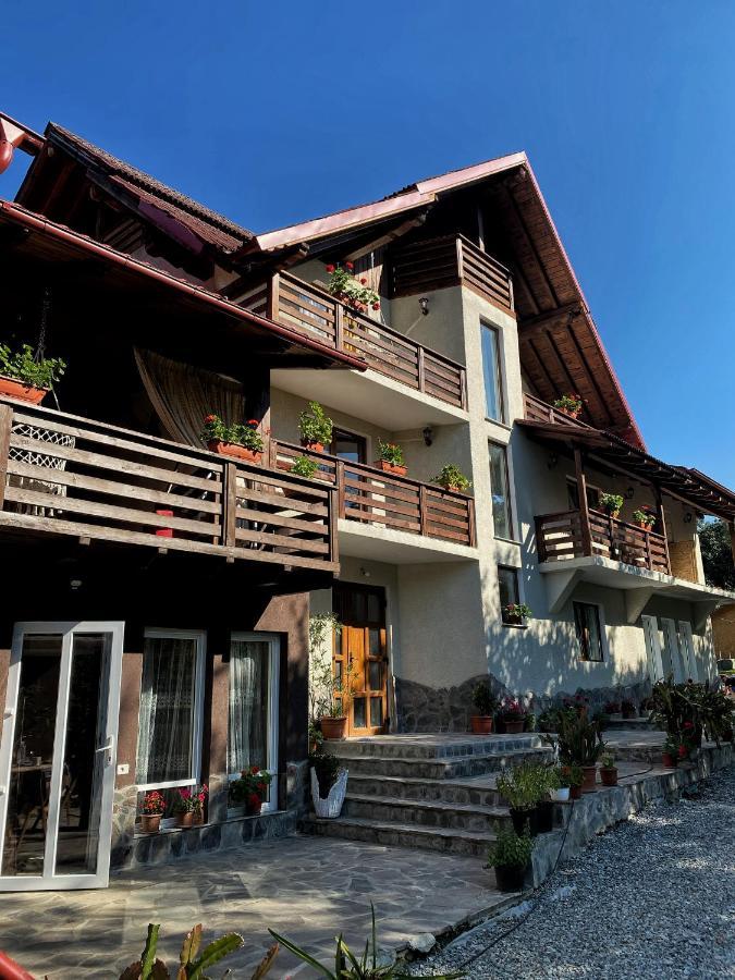 Vila Sorina Borşa 외부 사진