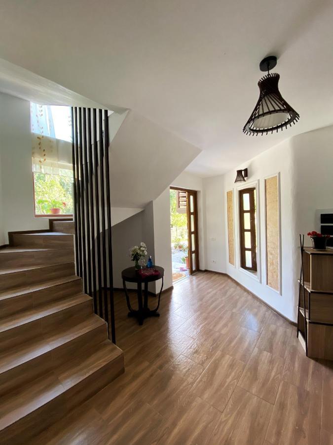 Vila Sorina Borşa 외부 사진