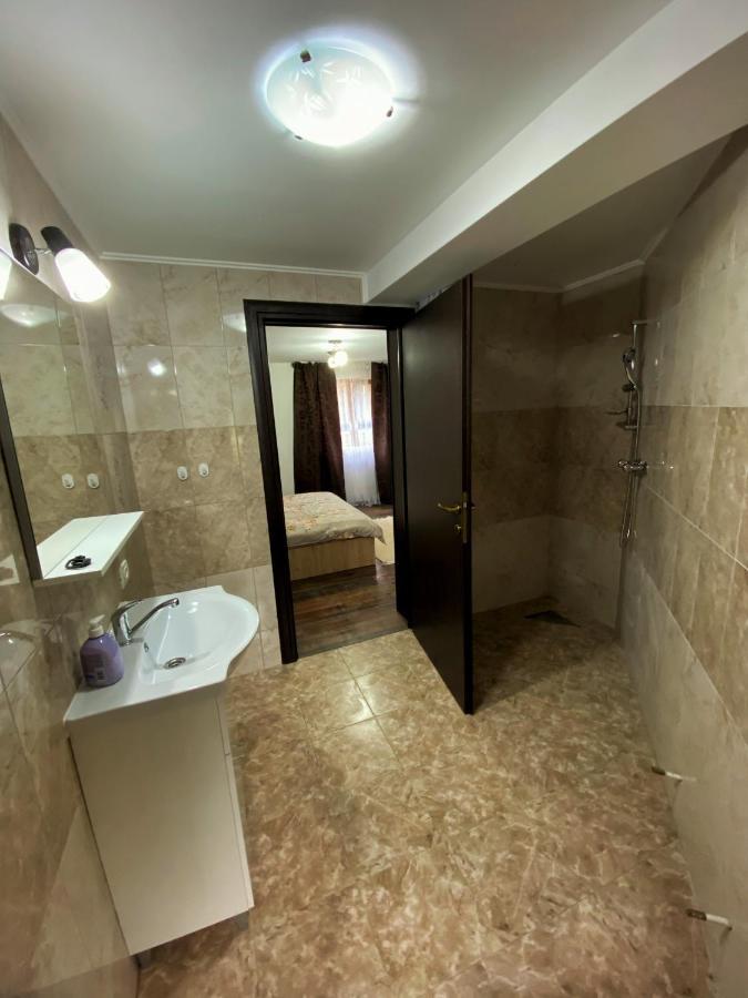 Vila Sorina Borşa 외부 사진