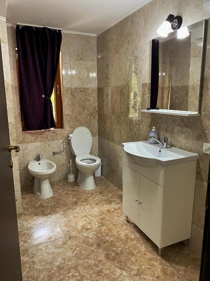 Vila Sorina Borşa 외부 사진