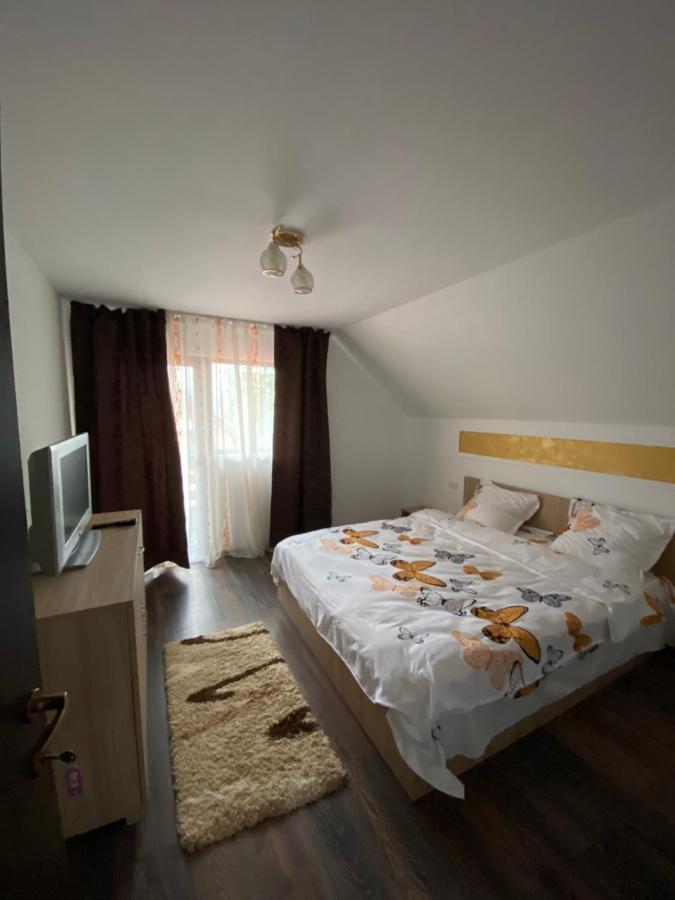 Vila Sorina Borşa 외부 사진
