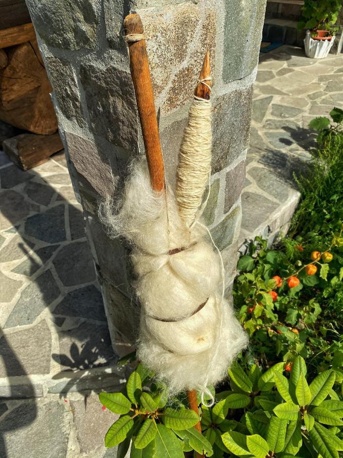 Vila Sorina Borşa 외부 사진