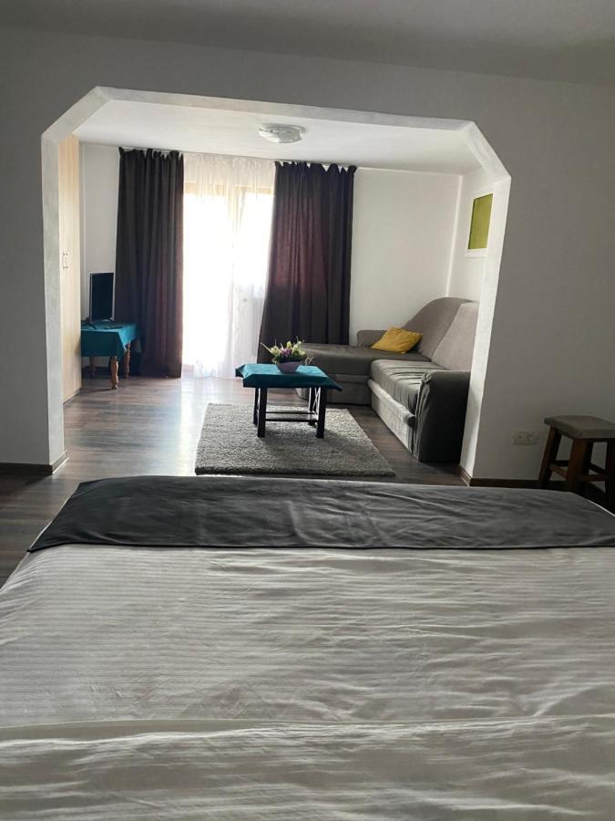 Vila Sorina Borşa 외부 사진
