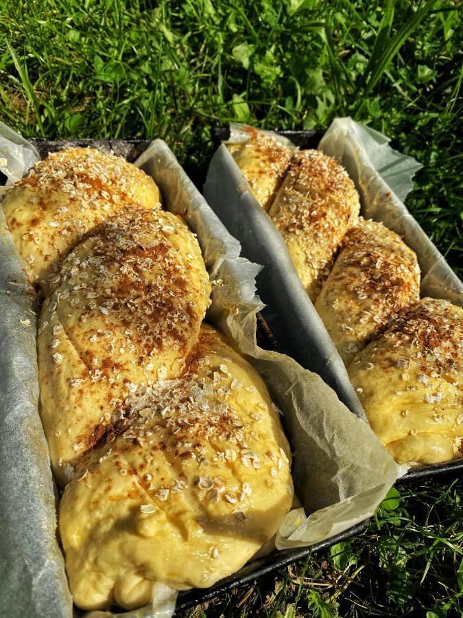 Vila Sorina Borşa 외부 사진