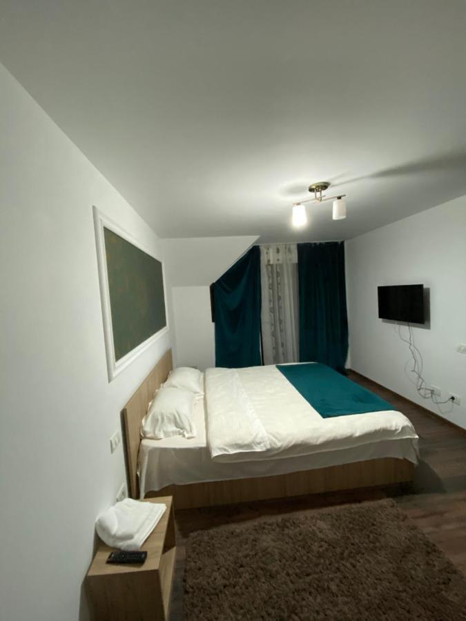 Vila Sorina Borşa 외부 사진