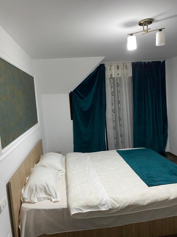 Vila Sorina Borşa 외부 사진