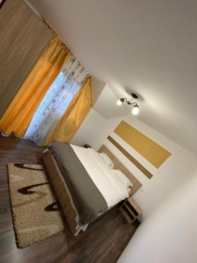 Vila Sorina Borşa 외부 사진