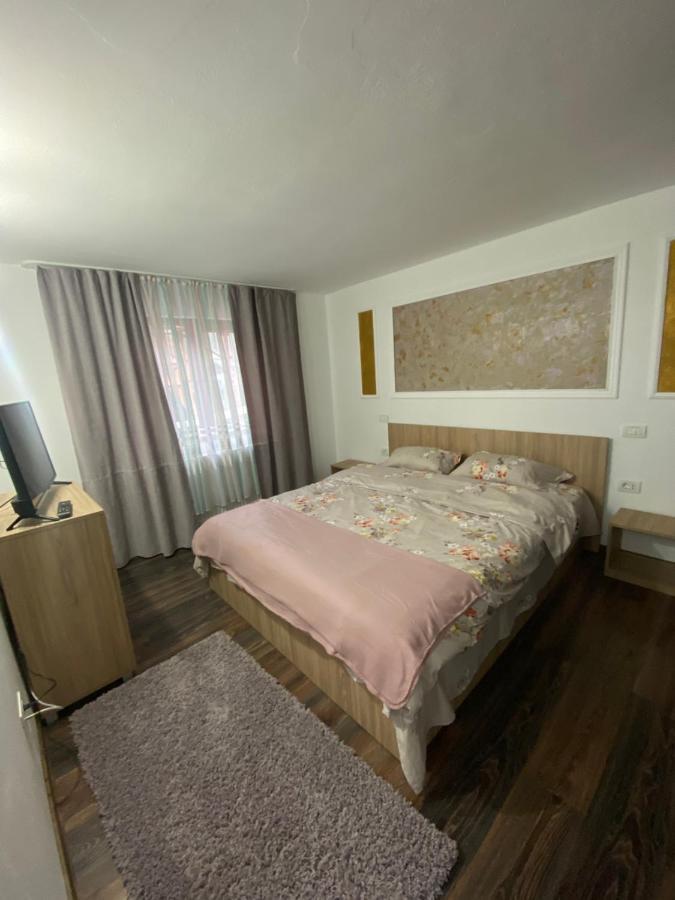 Vila Sorina Borşa 외부 사진
