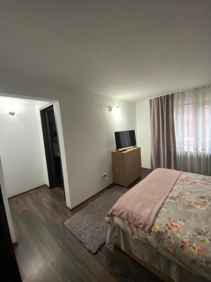 Vila Sorina Borşa 외부 사진