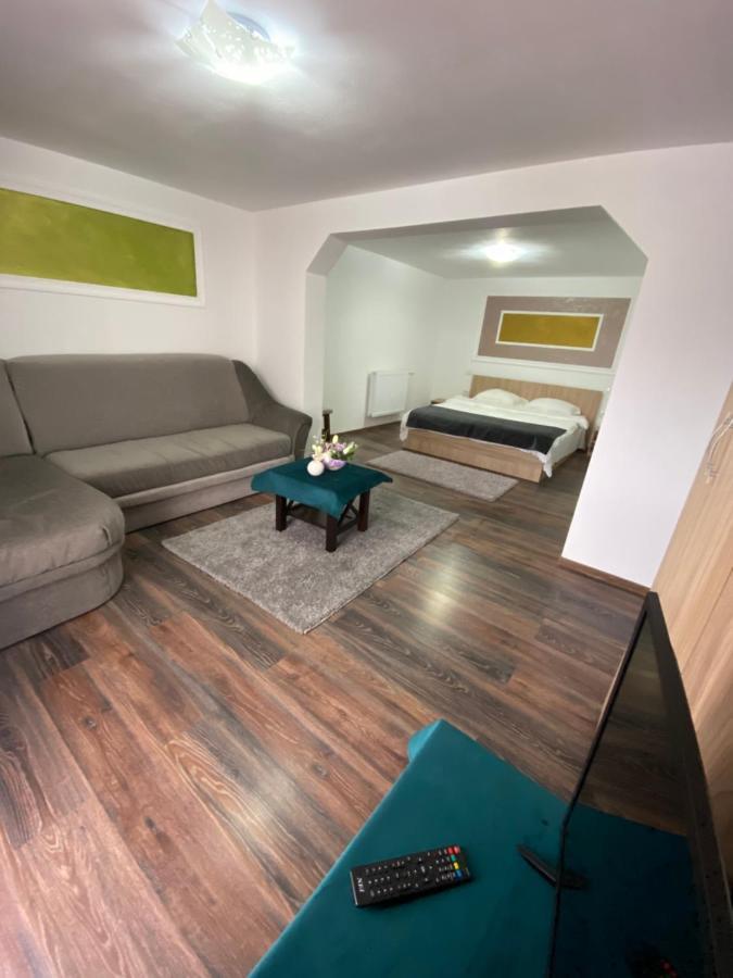 Vila Sorina Borşa 외부 사진