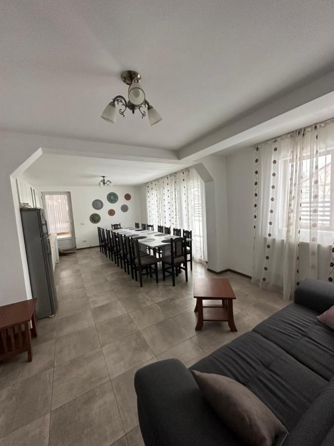 Vila Sorina Borşa 외부 사진
