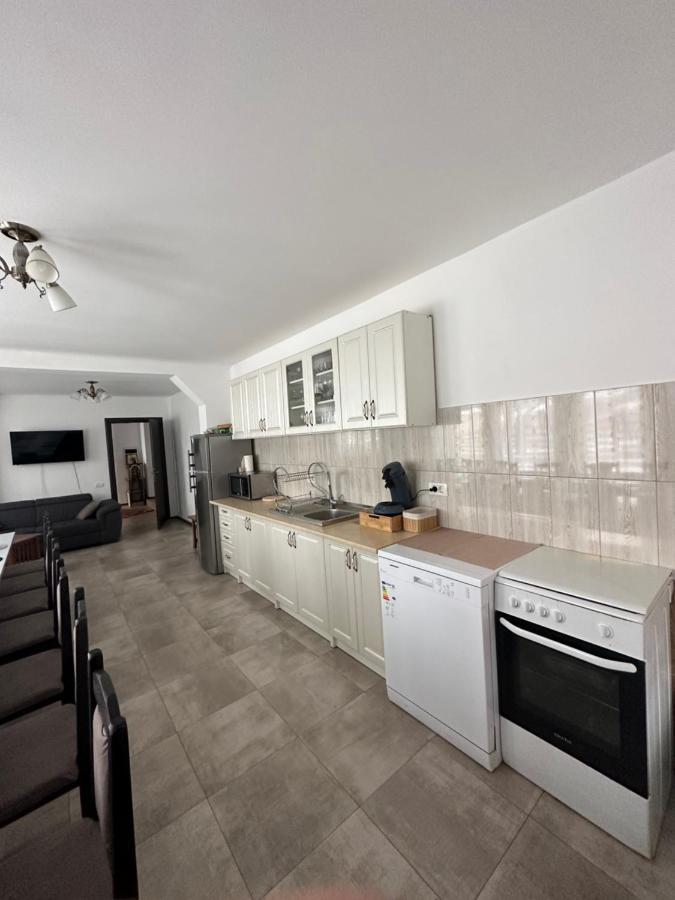 Vila Sorina Borşa 외부 사진
